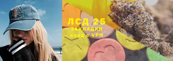 стаф Аркадак