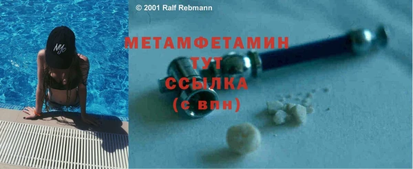 стаф Аркадак