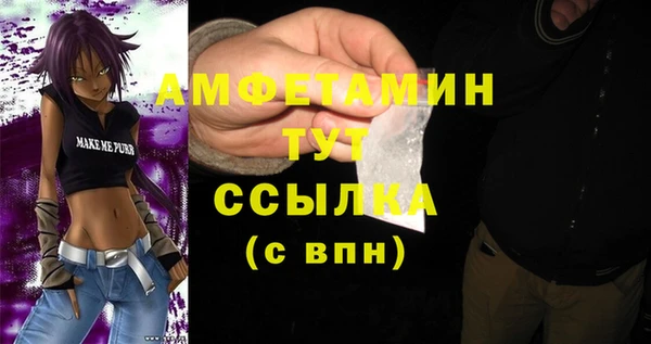 твердый Арсеньев