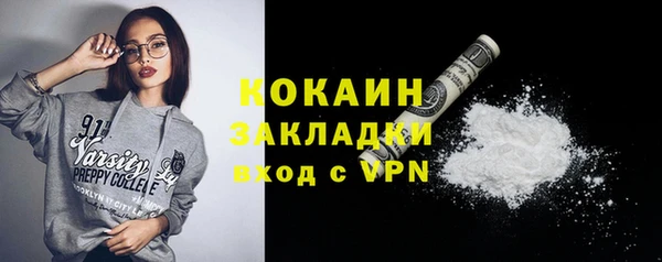 твердый Арсеньев