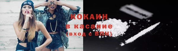 стаф Аркадак