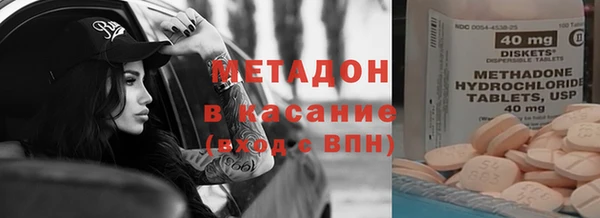 стаф Аркадак