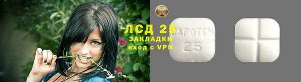 твердый Арсеньев