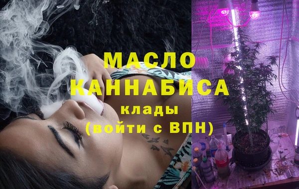 стаф Аркадак