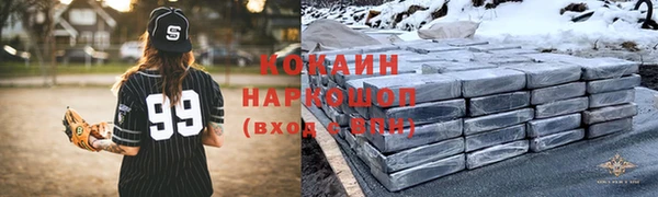 стаф Аркадак