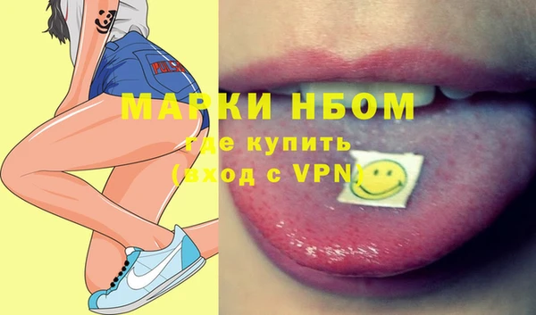 стаф Аркадак