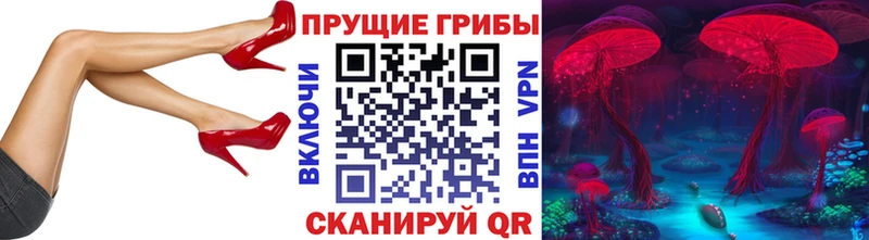 Галлюциногенные грибы ЛСД  хочу наркоту  Сокол 